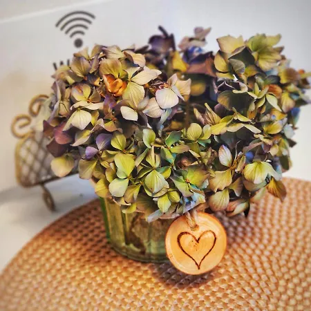 Jette Apartamento Stegen