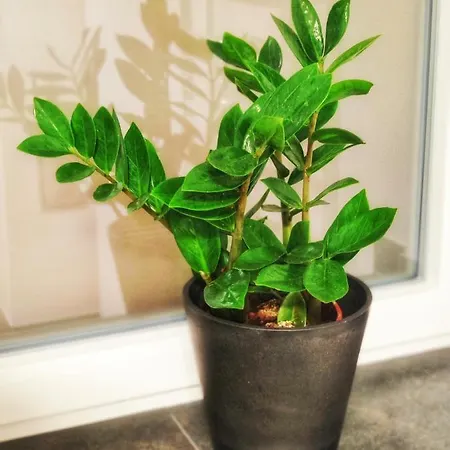 Apartamento Jette Stegen