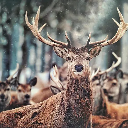 Apartamento Jette Stegen