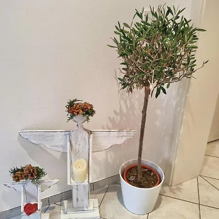 Apartment Jette *